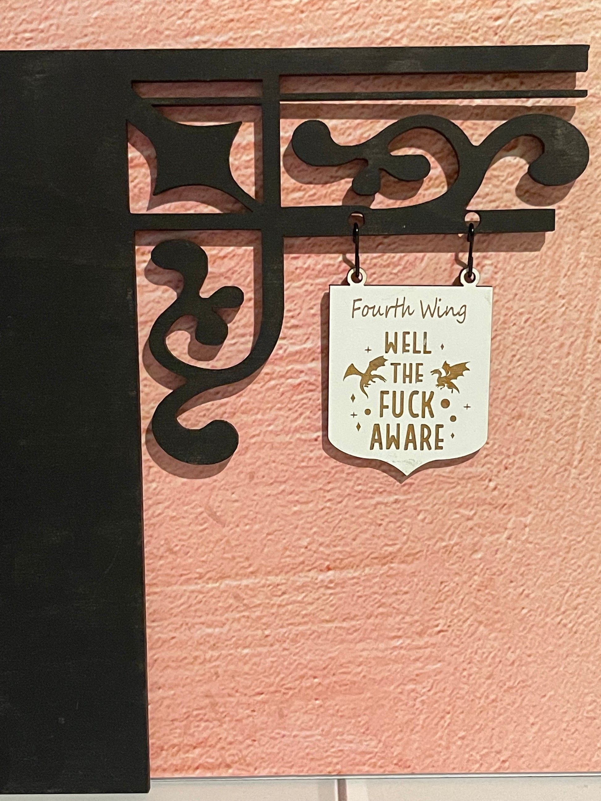 Fourth Wing-Well Aware