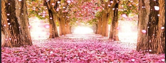 Very Large Diamond Art Painting Kit - Pink Blossom Trail, Round (120cm x 50cm)